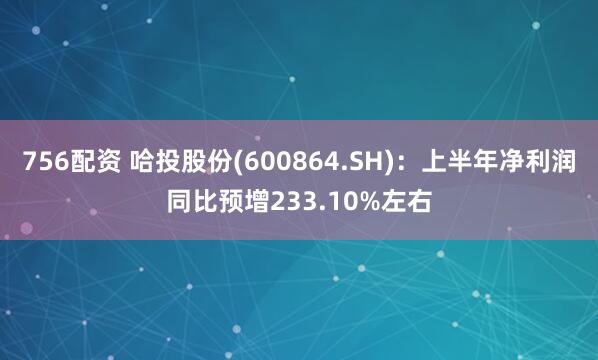 756配资 哈投股份(600864.SH)：上半年净利润同比预增233.10%左右