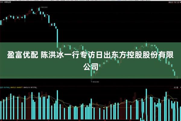 盈富优配 陈洪冰一行专访日出东方控股股份有限公司